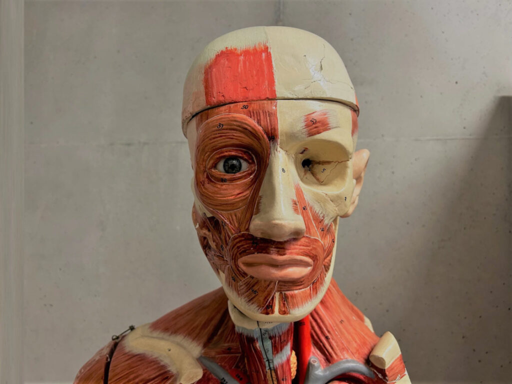 Focus sur l’enseignement médical