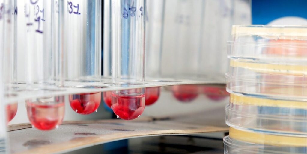 Recherche au Luxembourg